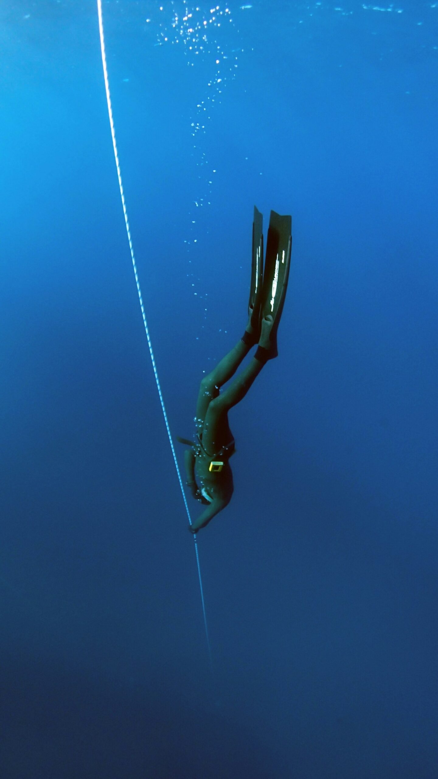 Top Safety Tips for Freediving and Scuba Enthusiasts